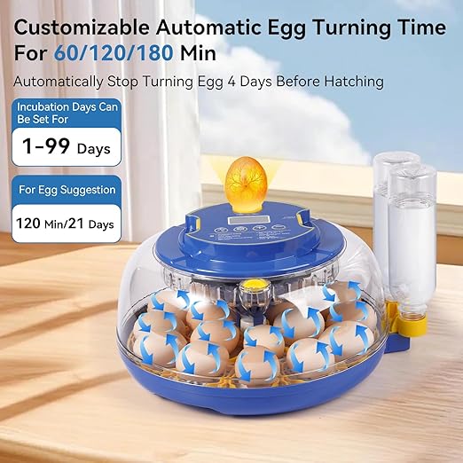 18 Egg Incubators for Hatching Eggs, Chicken Egg Incubator with Automatic Egg Turning and Temperature Humidity Control, 360° Clear View Lid or Home, Farm, Classroom, Hatching Chicken, Duck,Quail,Goose - Image 2