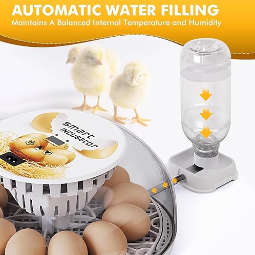 Egg incubators for Hatching Eggs, Automatic Egg Turning 12-24 Poultry Incubator with Temperature Control,Automatic Water Adding,℉ Display,360° View for Hatching Chickens, Duck,Quail,Goose Eggs (M12) - Image 4