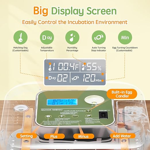 Incubator for Hatching Eggs Automatic Humidity and Temperature Control 12 Eggs Incubator, Digital Display Auto Turner 360° View Egg Candler for Chicken, Duck and Quail Bird Eggs - Image 3