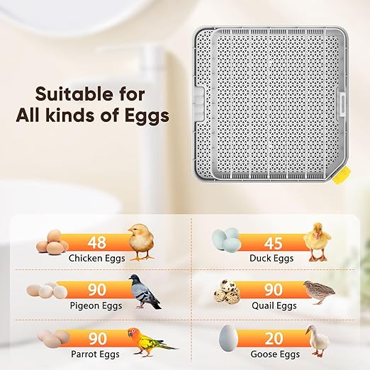 Incubators for Hatching Eggs, 48 Egg Incubator with Humidity & Temp Control and Auto Turner, Incubadora De Huevos De Gallina, Egg Candler, Smart Incubator for Chicken Eggs, Ducks, Goose, Quail - Image 5