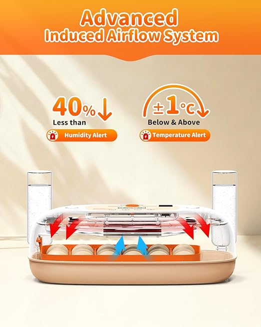 Egg Incubator for 24 Chicken Eggs with Automatic Turner, Digital Temperature Control & Humidity Display, Candler, Poultry Hatcher for Chicken, Duck, Quail, Birds (Orange) - Image 3