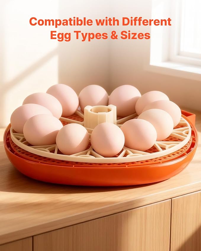 VEVOR 12 Egg Incubator, Automatic Egg Turner with LED Candler, Temperature & Humidity Control, 360° View Clear Window, Poultry Eggs Incubator for Home Farm, Hatching Chicks Ducks Goose Quail - Image 6