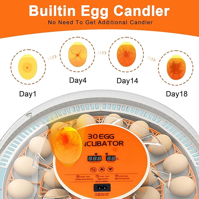 30 Egg Incubator with Automatic Egg Turning and Humidity Control,360 Degree View with Clear Window, Incubators for Hatching Eggs, Chicken, Ducks, Goose, Pigeon, Quail, Parrot - Image 5