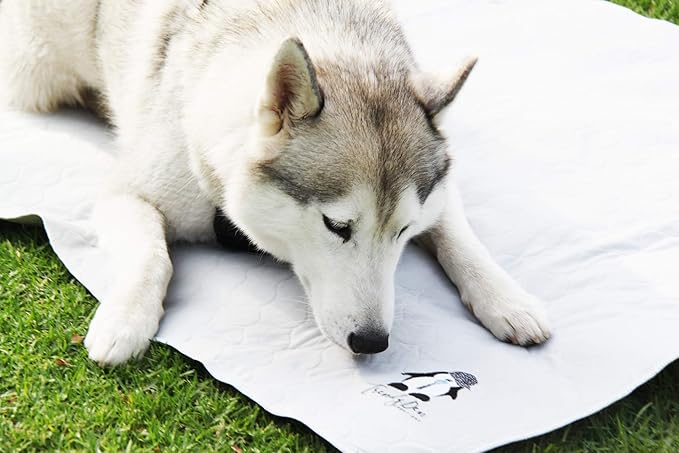 Washable Pee Pads for Dogs XXL (2 Pack), Reusable Puppy Training Pads, Ultra Absorbent & Waterproof Pet Mat for Senior Dogs, Non-Slip, Floor & Furniture Protector (36"x48") by Trendy Den Creations - Image 9