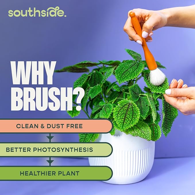 Southside Plant Cactus & Succulent Plants Cleaning Brushes - Wooden Handles w/Soft Goat Hair Bristles - Garden Cleaning Tools, Gentle on Plants, 7" & 3.2" Sizes - Pack of 2 - Image 3