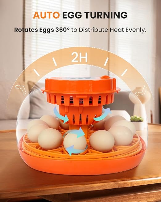 12 Egg Incubator with Automatic Turning & Humidity Control, Fully Automatic Incubators with Egg Candler, STEM/STEAM Educational kit, for Hatching Chicken, Duck, Quail, Pigeon, Home, Classroom Use - Image 7