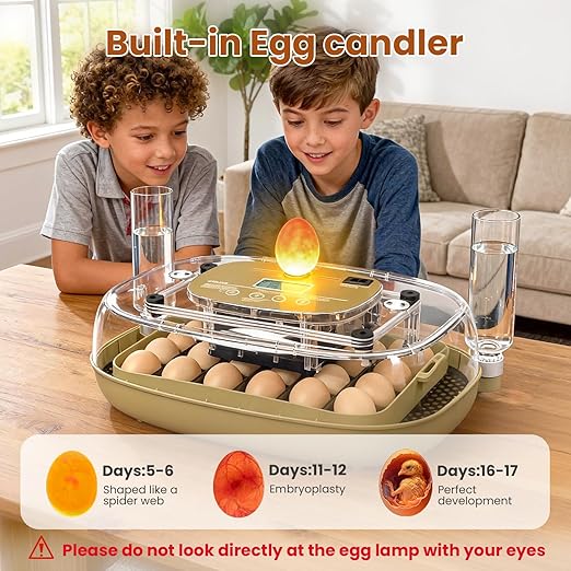 Incubators for Hatching Eggs,24 Eggs Capacity with Automatic Turning, Accurate Temp & Humidity Control, Egg Candler, Air Vent, and 360° Viewing for Chicken, Duck, Quail & Goose Eggs - Image 6