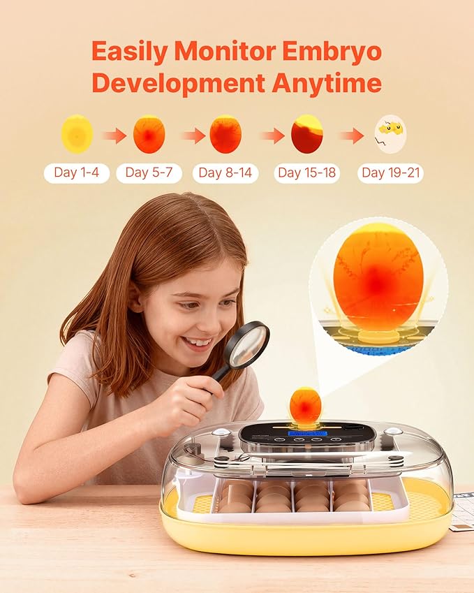 VEVOR 24 Egg Incubator, Automatic Egg Turner with LED Candler, Temperature & Humidity Control, 360° View Clear Window, Auto Water Refill, Poultry Eggs Incubators for Hatching Chicks Ducks Goose Quail - Image 5
