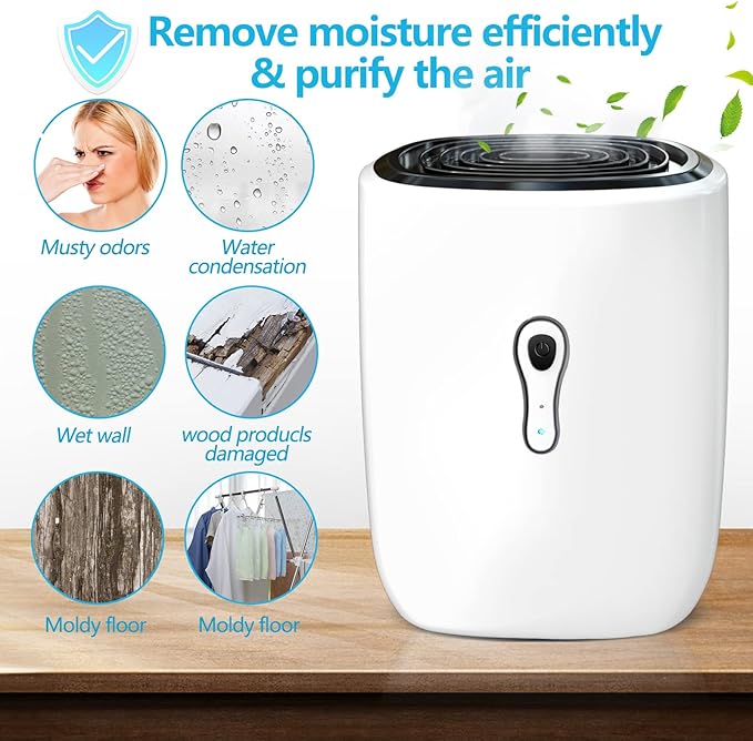 Dehumidifiers for Home 27oz(800ml) Small Auto Shut off Dehumidifiers with Drain Hose,Portable Ultra Quiet Mini Dehumidifier Effective for Bathroom, Basement, Garage, RV, Gun Safe, Closet - Image 2