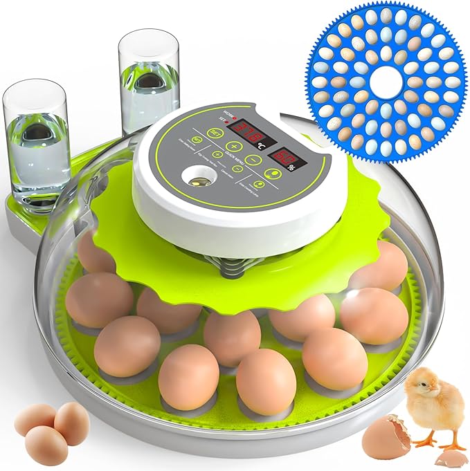 18/60 Egg Incubator with Humidity Display, Incubators for Hatching Eggs, Egg Candler, Automatic Egg Turner, Poultry Egg Incubator for Hatching Chicken Duck Goose Bird Quails- Green by DEZHXHE