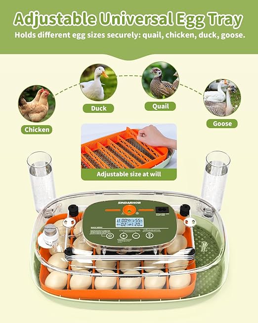 Egg Incubator for 24 Chicken Eggs with Automatic Turner, Digital Temperature Control & Humidity Display, Candler, Poultry Hatcher for Chicken, Duck, Quail, Birds (Green) - Image 7