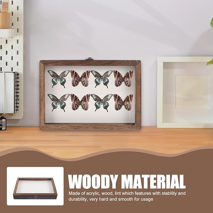 Angoily Wooden Insect Display Case Specimen Box with Clear Window, Wall-Mount Bug Collection Box for Insect and Dried Flower Display, Multi-Functional Storage Organizer - Image 4