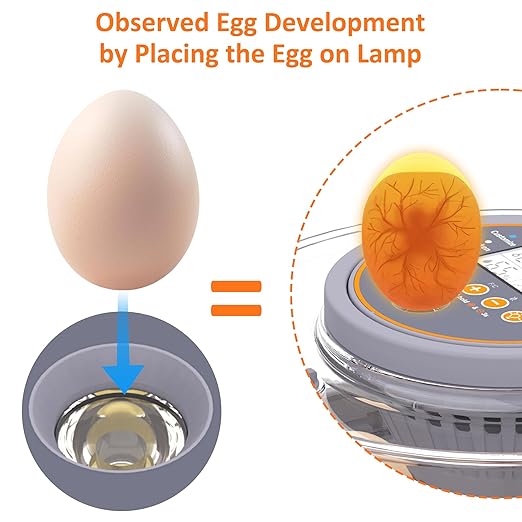12 Egg Incubator with Automatic Egg Turning and Humidity Control, Intelligent Egg Incubator with Automatic Temp. Adjustment - Image 5
