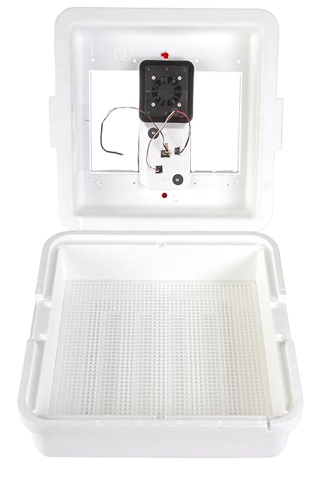Little Giant® Digital Circulated Air Incubator | 41 Eggs | Egg Incubator with Fan, Temperature and Humidity Control | Hatching Eggs by LittleGiant%C2%AE