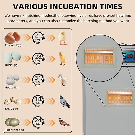 XKV 176 Eggs Incubator with Automatic Egg Turning,Temperature Humidity Control,Automatic Digital Egg Hatcher,For Chick,Duck,Poultry,Industrial Brooding Machine Chicken Incubator for Farm,Home,Indoor - Image 6