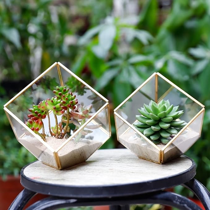 ELEGANTLIFE Glass Geometric Plant Terrarium,Succulent & Air Planter for Home Garden Office Decoration(Gold Cubic Set of 2) - Image 7