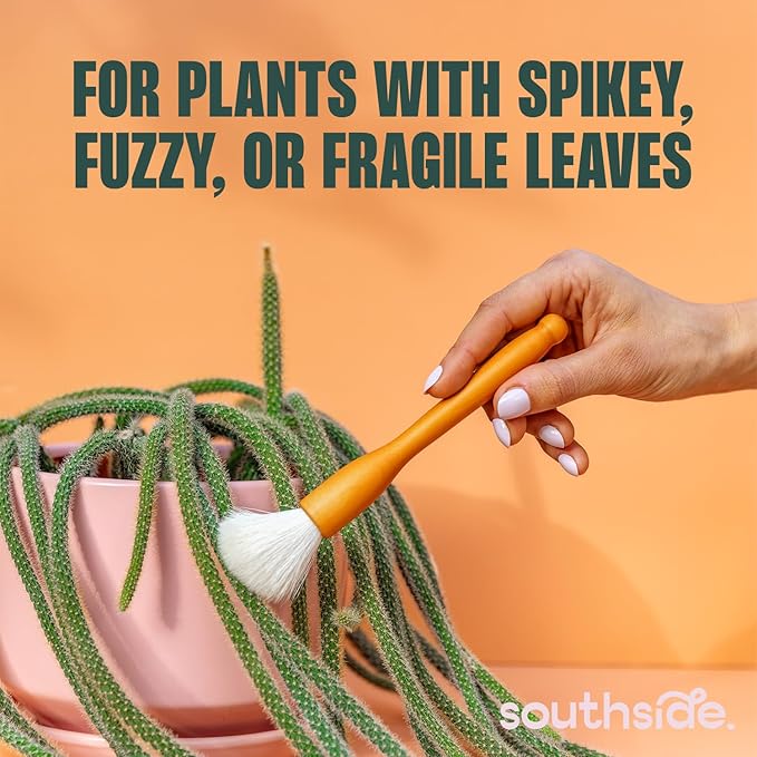 Southside Plant Cactus & Succulent Plants Cleaning Brushes - Wooden Handles w/Soft Goat Hair Bristles - Garden Cleaning Tools, Gentle on Plants, 7" & 3.2" Sizes - Pack of 2 - Image 2