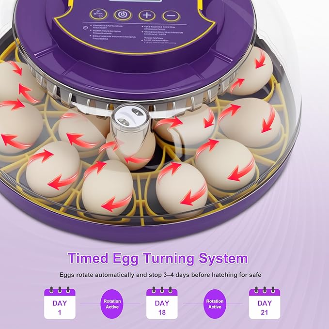 18 Egg Incubator for Hatching Eggs – With Automatic Egg Turning, Temp/Humidity Control, Egg Candler, Incubator Chicken, Duck, Goose, Quail, Parrot, Pigeon – For Home Farm Science Class Lab - Image 3
