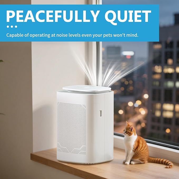 Dehumidifier and Air Purifier Combo HEPA H13 Filter and Negative Air Ion Function,54oz(1600ML) Water Tank with Drain Hose,24hrs Auto-Off Timer,Idea for Bedroom,Bathroom(W) - Image 4