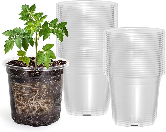 50 Packs 4 Inch Reinforced Clear Nursery Pots with Drainage Holes, Transparent Plastic Plant Pot Seedling Planter for Vegetable Propagation, Root Cutting, Seed Starting by Bluepro
