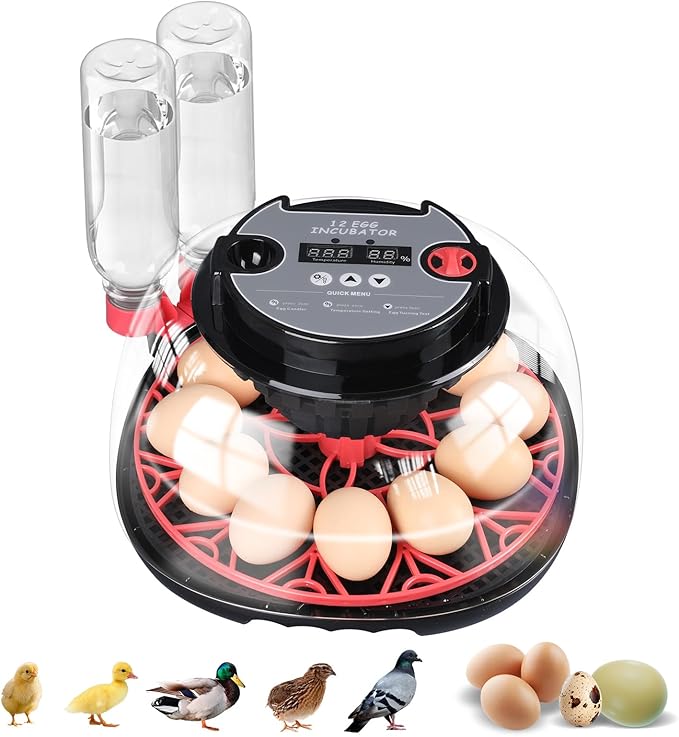 12-Egg Incubator, Automatic Egg Turning Function, Humidity Control, External Water Bottle for Watering, 360° Observation, Suitable for Chickens, Ducks, Geese, and Quails by Mengduxd