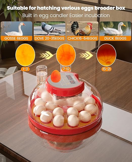 18 Incubators for Hatching Eggs with Automatic Egg Turning and Humidity Control Automatic Water Refill,Egg Candler Nature Right 360 Incubator Duck Quail Chick Turkey Hatching Incubator - Image 5