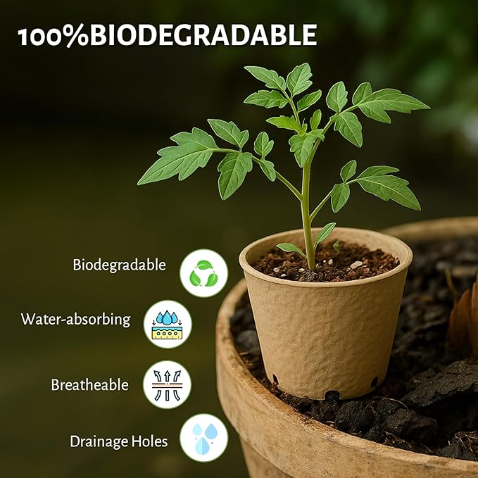120 Packs 3.15 Inch + 4 Inch Peat Pots, Biodegradable Pots for Seedlings with Drainage Holes, Herb Seed Starter - Image 3