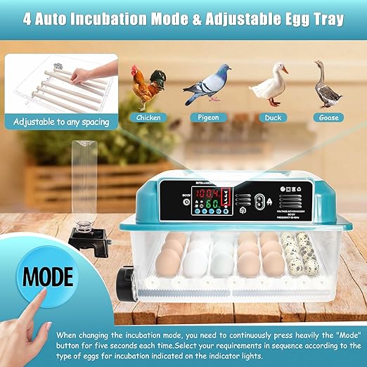 Incubators for Hatching Eggs,36 Egg Incubator,Automatic Egg Turning,Temperature & Humidity Control,Abnormality Monitoring,Egg Candle,Professional Incubator for Chicken,Duck,Geese,Quail - Image 3