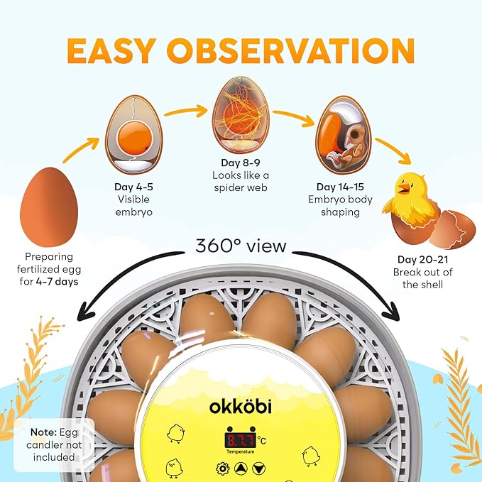 Okkobi M12 Egg Incubator with Automatic Turner and Humidity Control - 12/24 Eggs, 360° View, Easy to Use and Clean - Incubadora de Huevos de Gallina - Incubators for Hatching - White & Yellow - Image 4