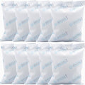 10Pcs 100 Gram Silica Gel Packets, Dessicant Packs for Storage, Pure and Safe Desiccant, Moisture Absorber Silica Gel Beads Packs for Moisture Control by Wisesorb