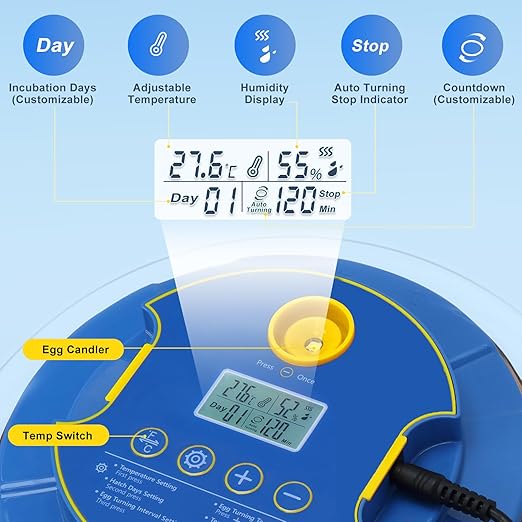 18 Egg Incubator for Hatching Chicken, Duck, Quail Eggs – 360° Visible Lid, Automatic Turning & Humidity Control, Built-in Egg Candler – Ideal for Home & Classroom Science Projects - Image 3