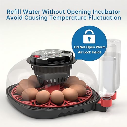 12-24 Egg Incubator with Humidity Display, Egg Candler, Automatic Egg Turner, for Hatching Chickens Duck Quail Parrot - Image 6