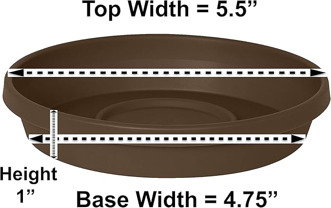 Bloem Terra Resin Saucer Tray: 4.75" Bottom Width - Chocolate Brown - Matte, Durable, Ribbed Bottom, Indoor and Outdoor, Fits 6" Terra Pots - Image 2