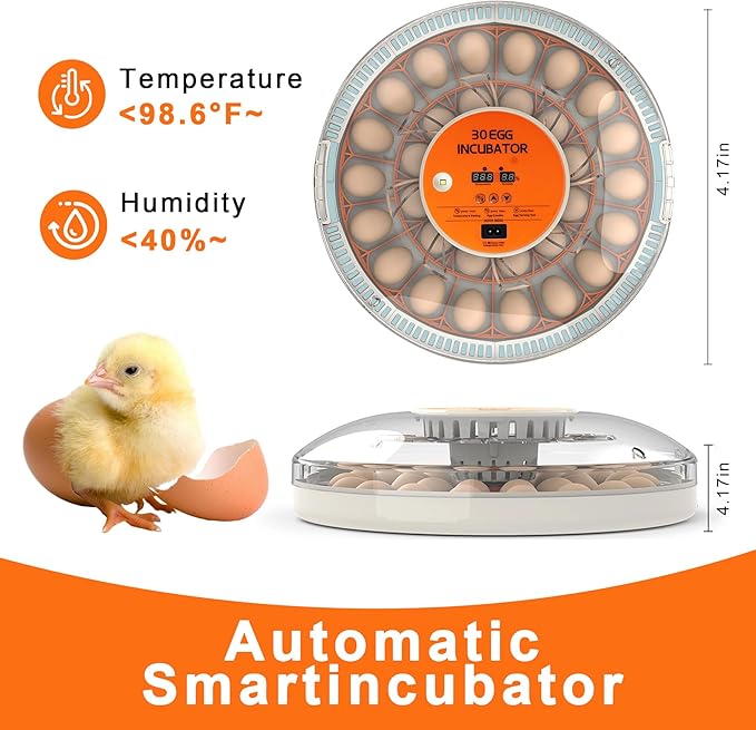 30 Egg Incubator with Automatic Egg Turning and Humidity Control,360 Degree View with Clear Window, Incubators for Hatching Eggs, Chicken, Ducks, Goose, Pigeon, Quail, Parrot - Image 2