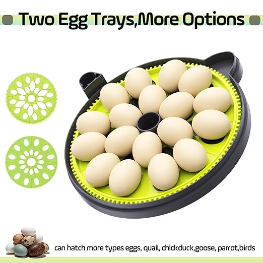 Egg Incubator with Automatic Egg Turning and Humidity Control,Built in Atomizer, Auto Egg Turner, Auto Stop Flip,18egg,Egg Candler, Hatching Small Quail Chicken Duck Goose at Home Backyard - Image 6