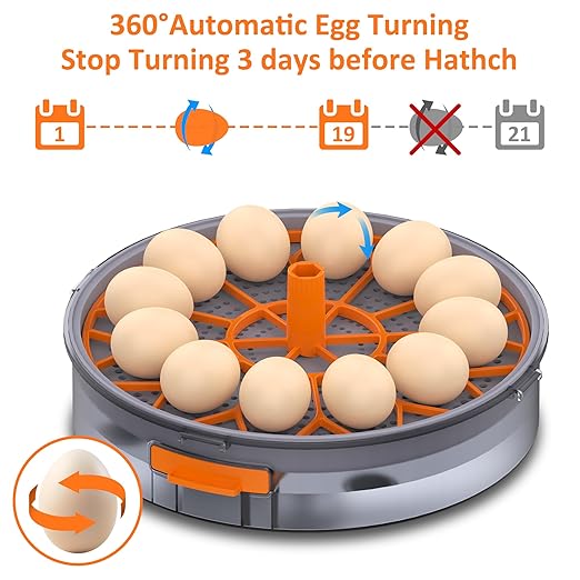 12 Egg Incubator with Automatic Egg Turning and Humidity Control, Intelligent Egg Incubator with Automatic Temp. Adjustment - Image 4
