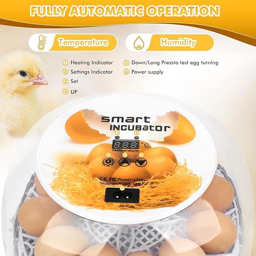 Egg incubators for Hatching Eggs, Automatic Egg Turning 12-24 Poultry Incubator with Temperature Control,Automatic Water Adding,℉ Display,360° View for Hatching Chickens, Duck,Quail,Goose Eggs (M12) - Image 5