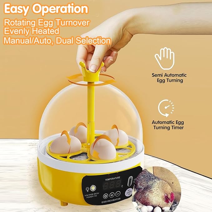 4 Eggs Mini Incubator with Transparent Lid,7W Automatic Temperature Humidity Control,Household Small Poultry Hatching Machine,for Chickens Ducks Pigeons (Auto Turning) - Image 7