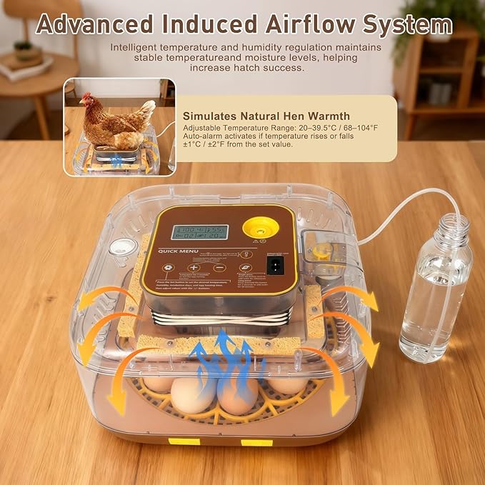 2026 New Auto 12-Egg Incubator for Beginners, Automated Incubation, Sensor-Based Precise Humidity & Temp Control, Custom-Interval Auto Turn & Auto Stop, Preset Incubation Days, Candler - Image 4