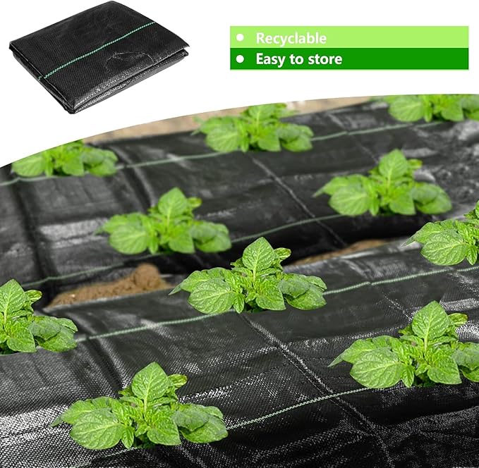 codree 26 x 6.5 Ft Garden Weed Barrier Landscape Fabric with Planting Holes- Heavy-Duty Garden Weed Control Barrier- Weed Block Gardening Mat with 10 Ground Nail for Outdoor Garden - Image 7