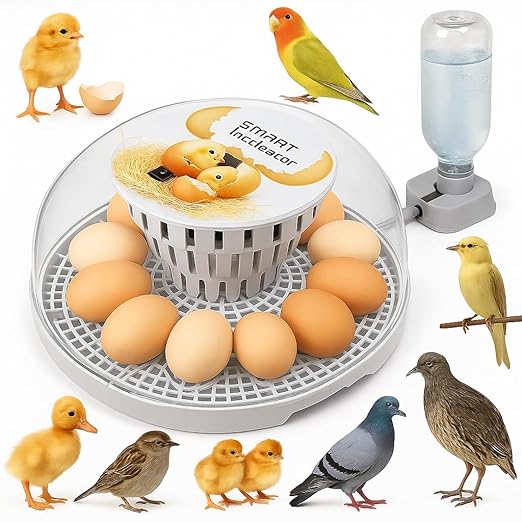 Egg incubators for Hatching Eggs, Automatic Egg Turning 12-24 Poultry Incubator with Temperature Control,Automatic Water Adding,℉ Display,360° View for Hatching Chickens, Duck,Quail,Goose Eggs (M12) by Unknown
