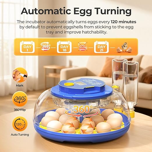 18 Egg Incubators for Hatching Eggs, 360° View with Automatic Egg Turning & Humidity Control, Built-in Egg Candler for Hatching Chicken, Duck, Goose, Quail, Ideal for Home, Classroom, Laboratory, Farm - Image 5