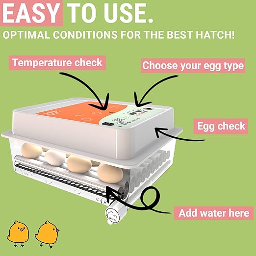 OBI-36 Egg Incubator for Hatching - 36 Eggs - Stable Temperature & Humidity Control with Eggloo Insulation, Candler - Ideal for Families and Farms - Suitable for Chicken, Duck, Quail Eggs - Orange - Image 2