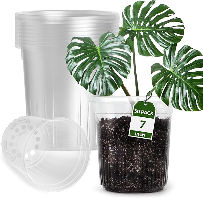 30 Packs 1 Gallon Reinforced Clear Nursery Pots with Drainage Holes, 7 Inch Transparent Plastic Plant Pot Seedling Planter for Vegetable Propagation, Root Cutting, Seed Starting by Bluepro