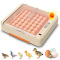 36-60 Egg Incubator with Automatic Egg Turning and Humidity Control, Adjustable Chicken Egg Incubator with Digital Display, for Hatching Eggs Include Chicken Duck Quail Eggs(Orange) by Innvello