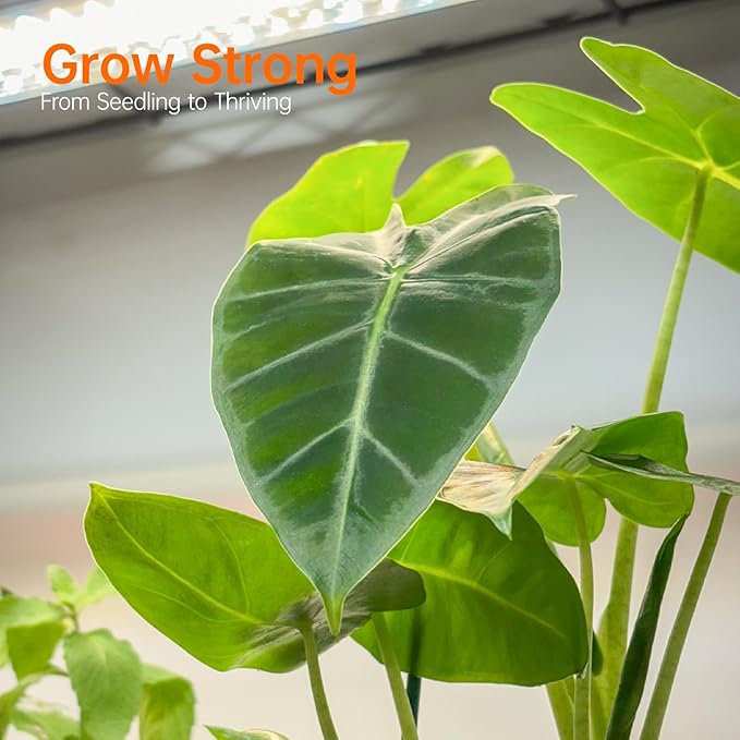 Bstrip Indoor Greenhouse with Grow Light, Mini Green house with 5 Pack T8 Full Spectrum Plant Lights, Plant Shelf with Tent for Indoor Plant, Seed Starting, Seed Tray, 35.4"x13.8"x71" - Image 5