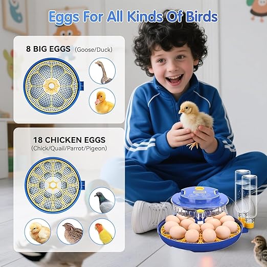 Egg incubators for Hatching Eggs, Automatic Egg Turning 12-24 Poultry Incubator with Temperature Control,Automatic Water Adding,℉ Display,360° View for Hatching Chickens, Duck,Quail,Goose Eggs (M18H) - Image 7