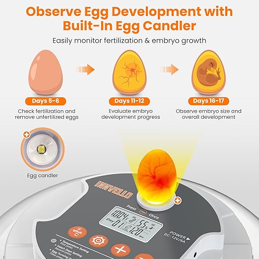 18 Egg Automatic Egg Incubator for Hatching Eggs, Chicken Egg Incubator with Auto Egg Turning, Humidity & Temperature Control, Hatch Day Counter, Egg Candler, 2 Egg Trays & External Water Bottles - Image 5