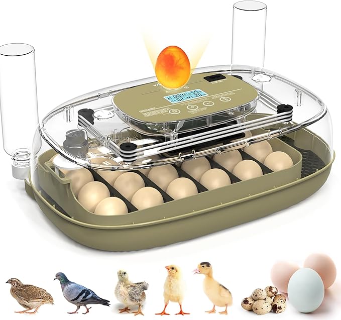 24 Egg Incubator with Automatic Turning, Temperature and Humidity Control, LED Egg Candler, and Auto Water Addition, for Hatching Chicken, Goose, Duck, Quail, Pigeon, and Turkey Eggs by howooiua