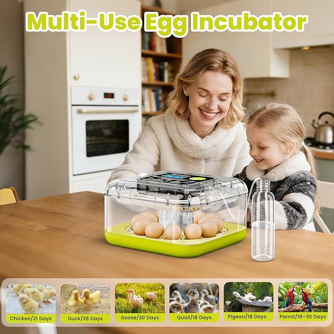 Egg Incubators for Hatching Eggs, 12 Egg Incubator with Automatic Egg Turning and Humidity Control, Incubator for Chicken/Quail/Duck Eggs with Temperature Control/LED Egg Candler, 360 Degree View - Image 7